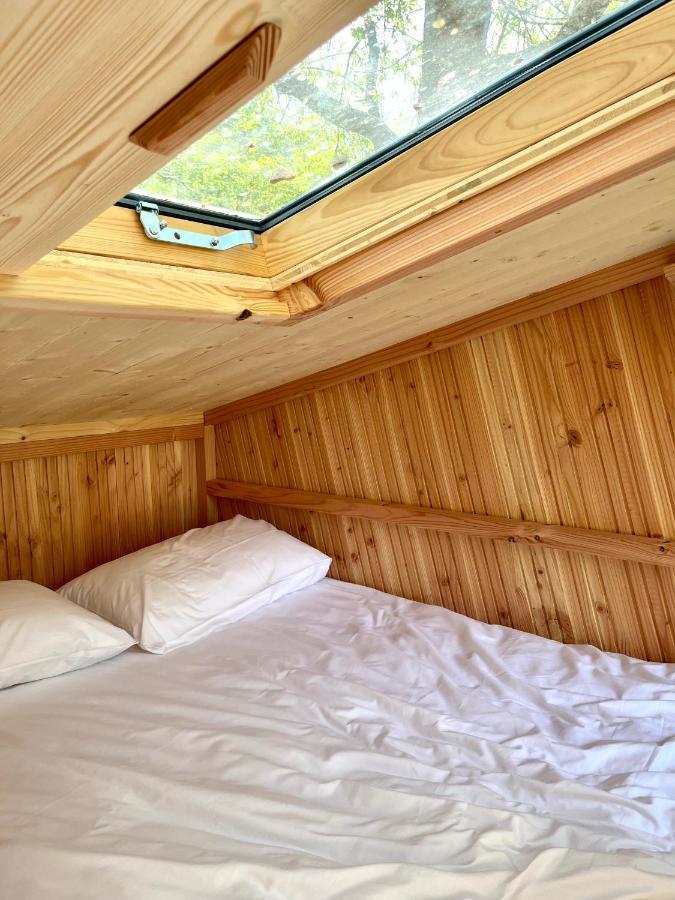 Camping Des Gayeulles رينز المظهر الخارجي الصورة